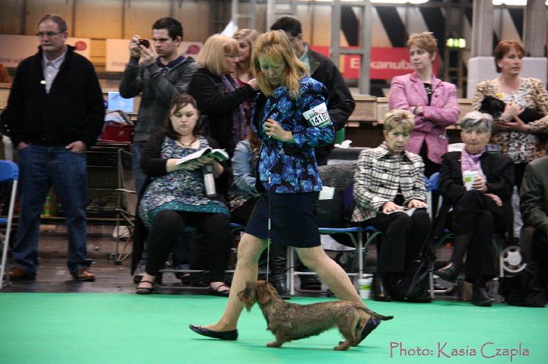 Crufts2011_2 1317.jpg